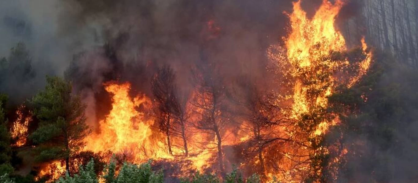 Ανεξέλεγκτη η φωτιά στα Μεσοχώρια Ευβοίας - Μήνυμα εκκένωσης της περιοχής (βίντεο) (upd)